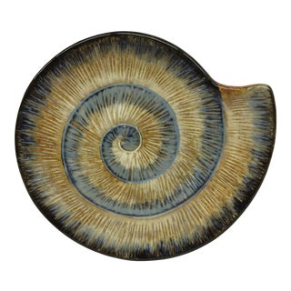 Ammonite Ceramic Serving Plate For Sale