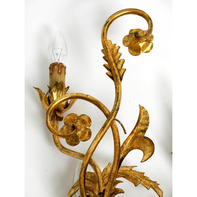 Gold Italian Gold-Plated Wall Lamp with Four Sockets, 1960s For Sale - Image 8 of 18