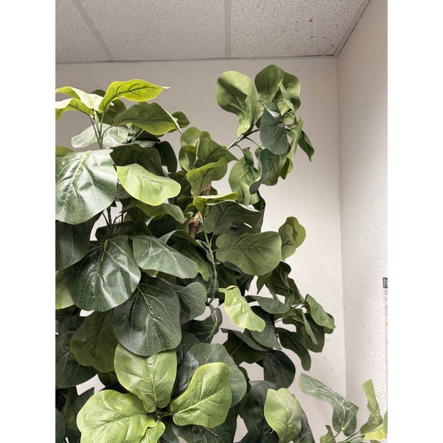 2010s Faux Fiddle Leaf Fig Tree + Tapered Black Planter For Sale - Image 5 of 12