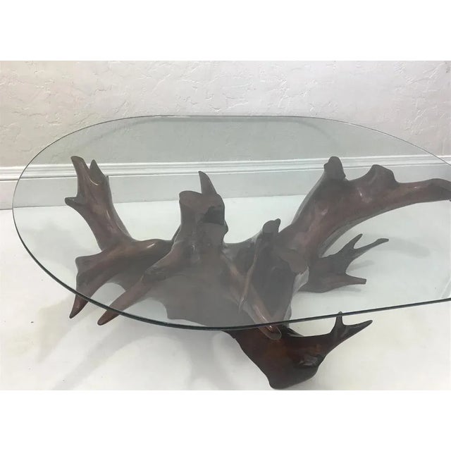 Mid Century Spanish Walnut Root Glass Top Coffee Table For Sale - Image 4 of 15