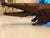Large Hand-Carved Mahogany Crocodile Sculpture, 1970s For Sale - Image 15 of 18