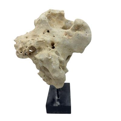 Natural coral stone from Indonesia with a sandy hue, displayed on a handcrafted teak stand. Its organic texture and warm...