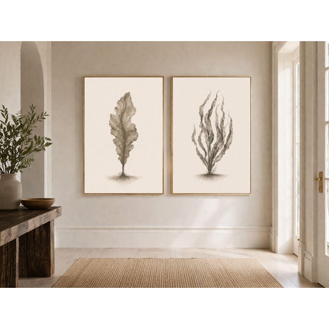 Minimalist Coastal Botanical Pair, Curated Seaweed Studies, 24" × 36" Each For Sale - Image 4 of 7