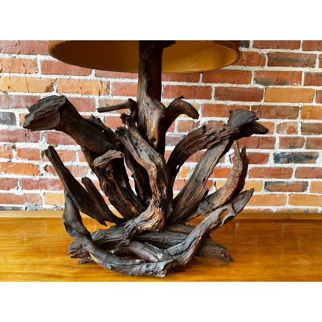 1970s 1970s Sculptural Driftwood Table Lamp For Sale - Image 5 of 10
