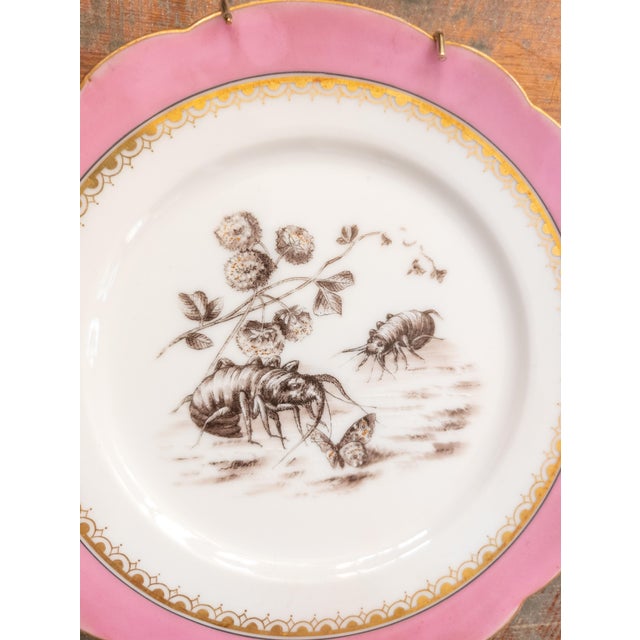 Late 19th Century 19th Century Pair of French Decorative Wall Plates With Pink and Gold Grisaille Decoration For Sale - Image 5 of 10