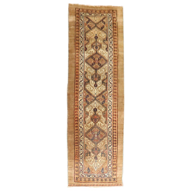 Late 19th Century Camel Hair Runner - 3'8" x 11' For Sale - Image 15 of 18