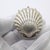 Vintage shell shaped box with a refined coastal charm, handmade in Italy between the 1970s and 1980s in genuine solid...