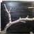 Late 20th Century Global Views 'Branch' Cabinet in Black and Silver For Sale In New York - Image 6 of 12