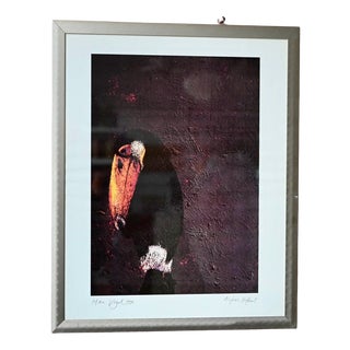 Alfred Hofkunst, My Bird, 1990s, Lithograph For Sale