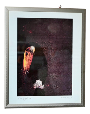 Alfred Hofkunst, My Bird, 1990s, Lithograph