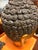 Wood Large Gilt Wood Chinese Buddha Head For Sale - Image 7 of 7