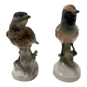 Vintage Klotz & Ens Porcelain Bird Figurines – Hand Painted German Pair