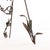 Art Nouveau Rare French Art Nouveau Wrought-Iron Adjustable Easel, C 1900 For Sale - Image 3 of 6