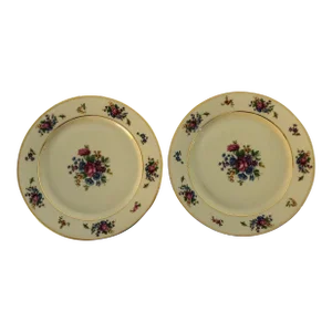 Vintage Tirschenreuth "Queen's Rose" Pattern Dinner Plates- Set of 2