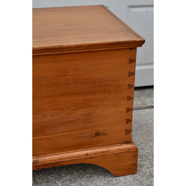 Vintage Doveatiled Pine Trunk Farmhouse Stye Blanket Chest Storage For Sale In Philadelphia - Image 6 of 15