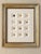 Mid 19th Century Seashell Study | Set of 12 Original Prints – Coastal Wall Art | Custom Framed | C. 1840 For Sale - Image 5 of 5