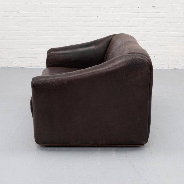 Animal Skin DS-47 Two-Seater Sofa from de Sede, 1970s For Sale - Image 7 of 16