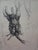Edouard Goerg, Anthropomorphic Trunk, Ink on Paper For Sale