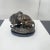 After A. Barye, Lion with Snake, 20th Century, Bronze For Sale - Image 13 of 17