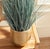 Early 21st Century Blue Oat Grass Drop-In 32" For Sale - Image 5 of 6