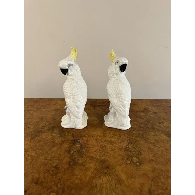 1950s Mid-Century Cockatoos by T.J. Jones, 1950s, Set of 2 For Sale - Image 5 of 7