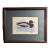 Vintage Framed Waterfowl Print of a Red-Breasted Merganser Duck For Sale