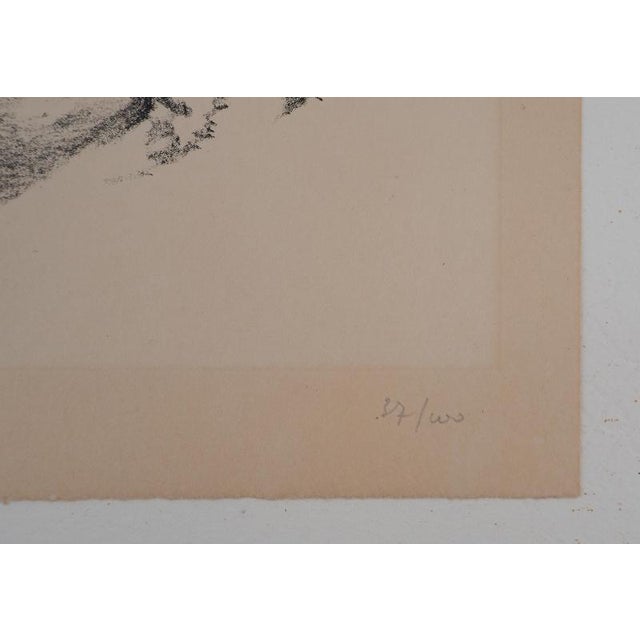 Charles Lacoste, Pardies, Undergrowth in Winter, Original Lithograph, 1946 For Sale - Image 4 of 6