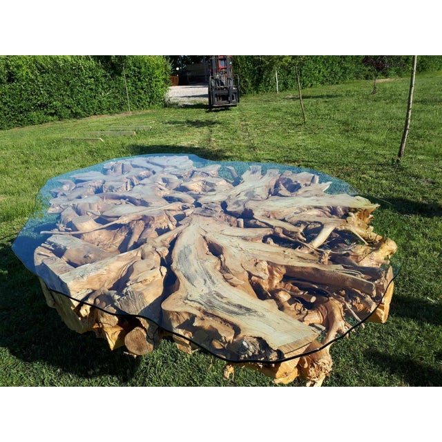 Monumental One-of-a-Kind Sculptural Root Table With Custom Tempered Glass For Sale - Image 6 of 8