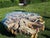 Monumental One-of-a-Kind Sculptural Root Table With Custom Tempered Glass For Sale - Image 6 of 8