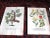 This set of six (6) authentic hand colored antique 18th century mezzotints depict botanicals. Printed in 1740 on handmade...