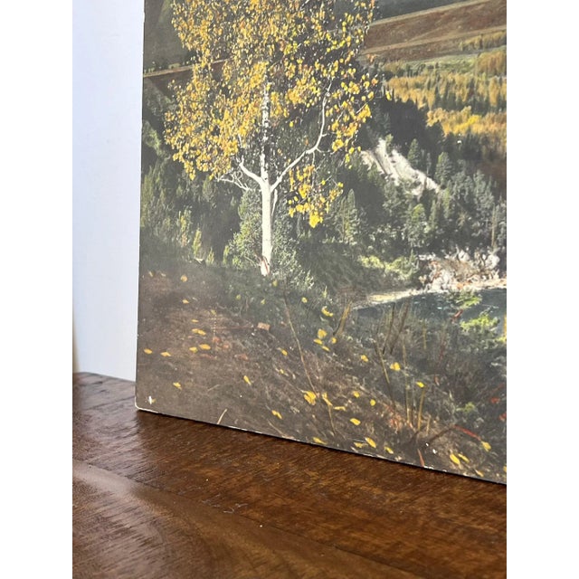 Paper 1970s Vintage Tinted Photo Print For Sale - Image 7 of 10