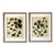 2026 Contemporary Botanical Paintings on Paper by Artist r.k. Red - A Pair For Sale