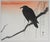 Mid-Century Modern Early 20th Century Seiko Okuhara Crow Japanese Woodblock Print For Sale - Image 3 of 4