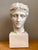 Vintage Plaster Classical Bust of Roman Warrior For Sale - Image 4 of 18