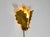 Metal Vintage Gold-Plated Glass and Metal Wall Lamp by Banci Firenze, Italy, 2000s For Sale - Image 7 of 18