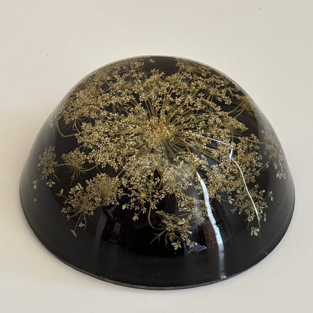 Vintage Botanical Resin Paperweight With Pressed Queen Anne's Lace For Sale - Image 11 of 17