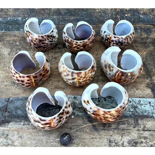 Late 20th Century Vintage Sliced Shell Napkin Holders - Set of 8 For Sale - Image 5 of 12