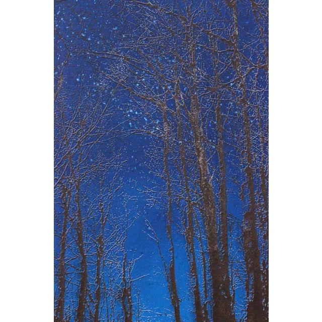 Stefano Bersani, Boscaglia Relief, 2014, Mixed Media For Sale - Image 4 of 9