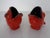 Red Ceramic Fish Ashtrays, Germany, 1970s, Set of 2 For Sale - Image 9 of 14