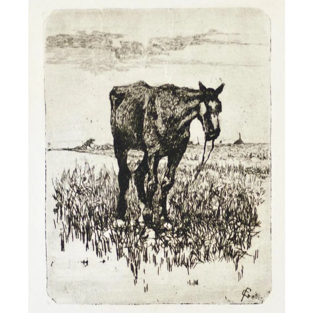 The Old Horse - Original Etching by Giovanni Fattori - 1900-1908 ca. 1900-1908 For Sale - Image 3 of 4