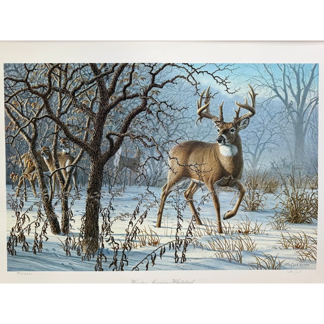 1990s Larry Zach "Winter Sunrise ~ Whitetail" Signed, Numbered, Le Wildlife Print For Sale - Image 6 of 6