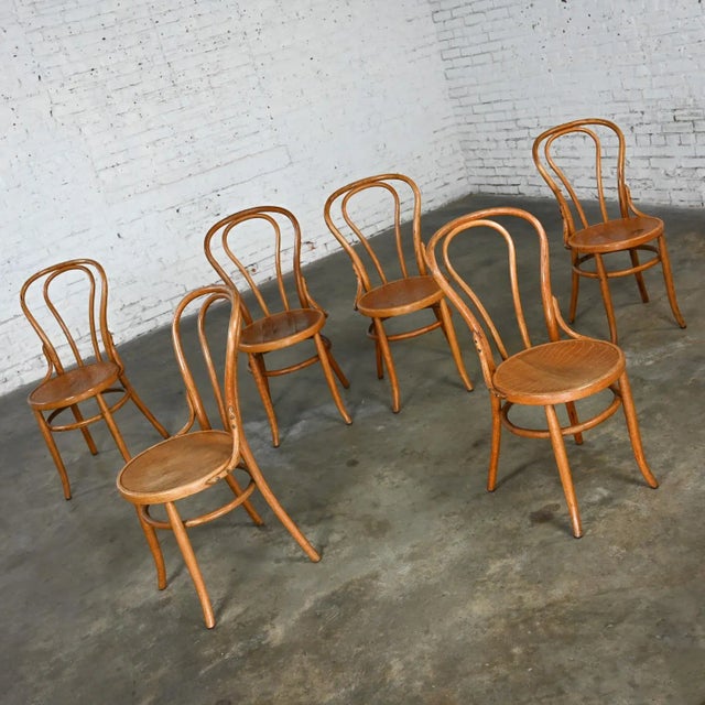 Oak bentwood chairs best sale