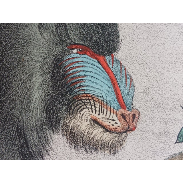One of 6 Lithographs from my personal collection. The publisher was Raimondo Petraroja who owned a bookstore and...