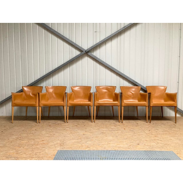 2000 - 2009 Cognac Leather Vela Chairs by Carlo Bartoli for Matteo Grassi, 1980s, Set of 6 For Sale - Image 5 of 18