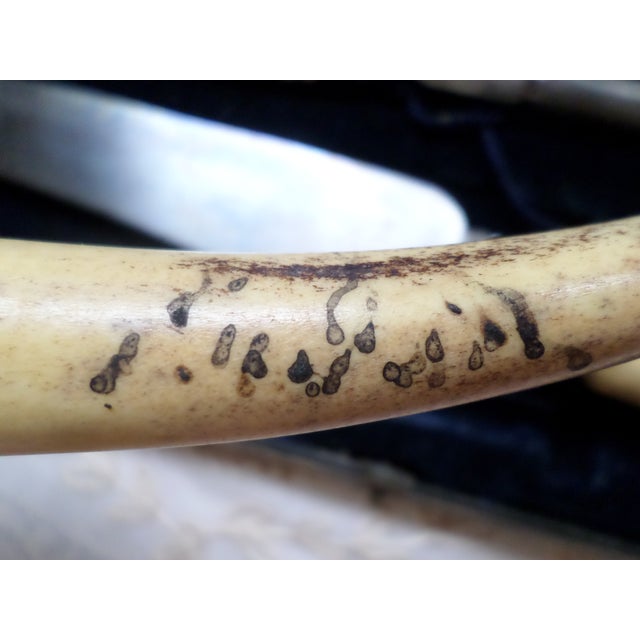 Antique English Victorian Robert Mosley Cutler & Silversmith 3 Piece Bone Carving Set For Sale - Image 10 of 16