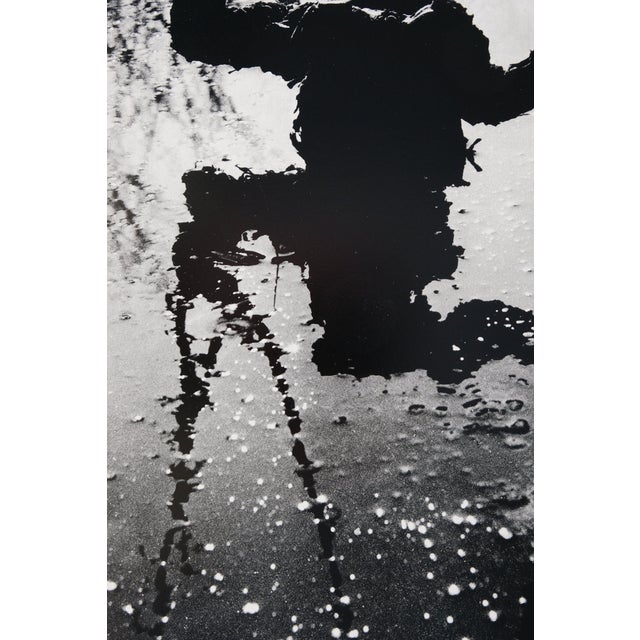 Lucien Clergue, Albaron, Etching For Sale
