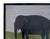 Matt Rix, Naïve Folk Art Style Elephant Cow, Oil Painting, Framed For Sale - Image 10 of 11