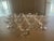 1950s Vintage Noritake Mid-Century Modern Sasaki Bamboo Etched Crystal Champagne / Low Sherbert Glasses Set of 13 For Sale - Image 5 of 5