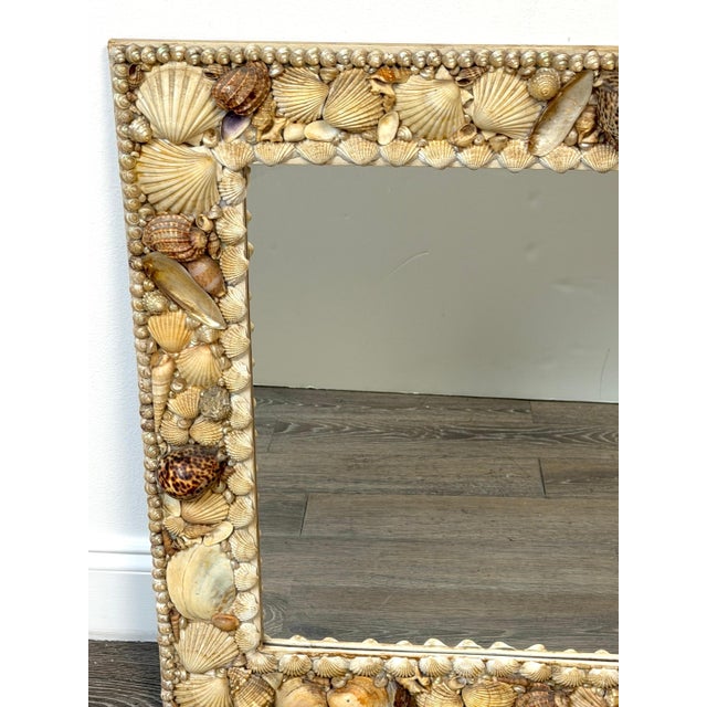 Glass 1960s Coastal Bohemian Specimen Shell Encrusted Mirror with Tiger Cowries For Sale - Image 7 of 14