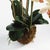 100% realistic a perfect copy of nature. This exquisite soft blush orchid dropin is a nomaintenance work of art. Right...